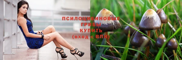 прущая мука Бронницы
