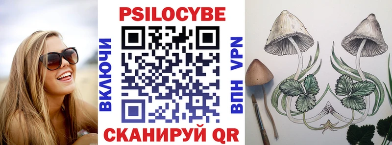 Купить  Сегежа  Псилоцибиновые грибы ЛСД 